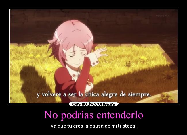 No podrías entenderlo -