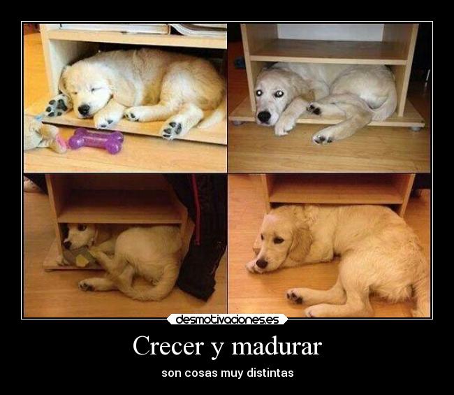 Crecer y madurar - 