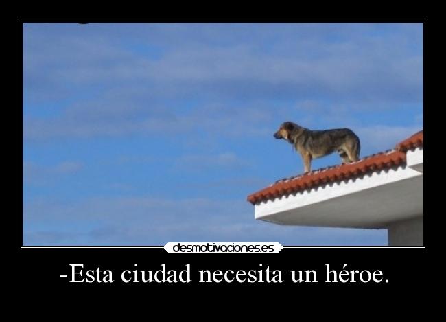 carteles memes humor vida animales perros heroes laurasimpson11 desmotivaciones