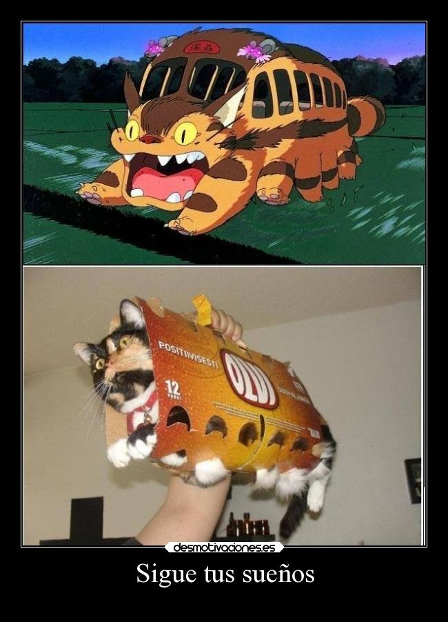 Sigue tus sueños -