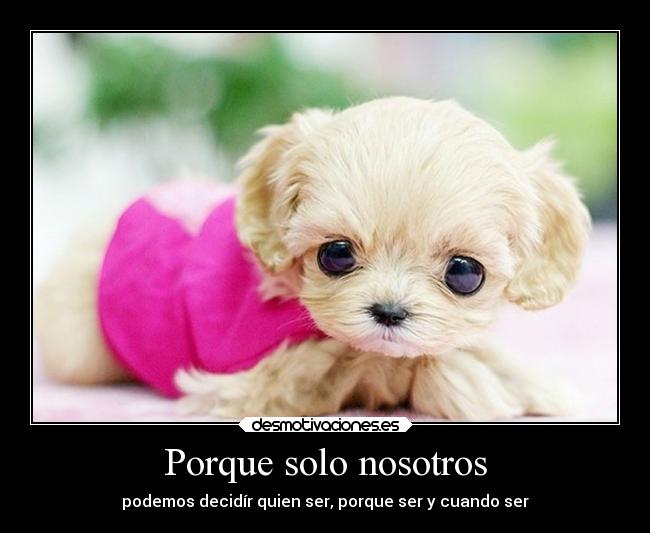 Porque solo nosotros -