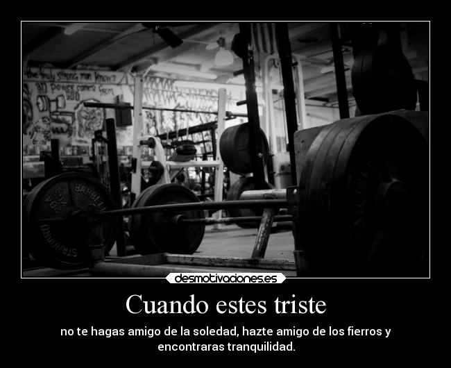 Cuando estes triste - no te hagas amigo de la soledad, hazte amigo de los fierros y
encontraras tranquilidad.