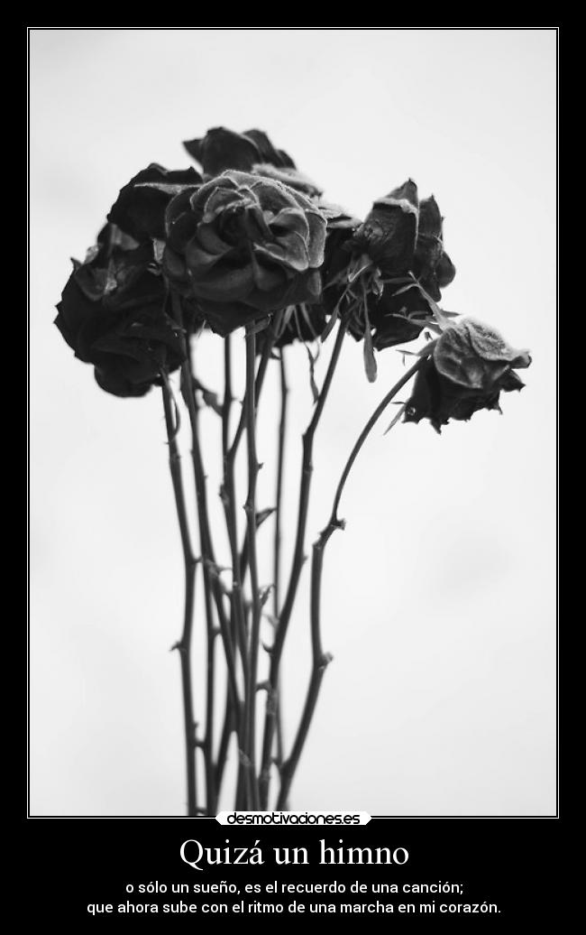 carteles muerte alma corazon dolor clarettaeben 270bis desmotivaciones