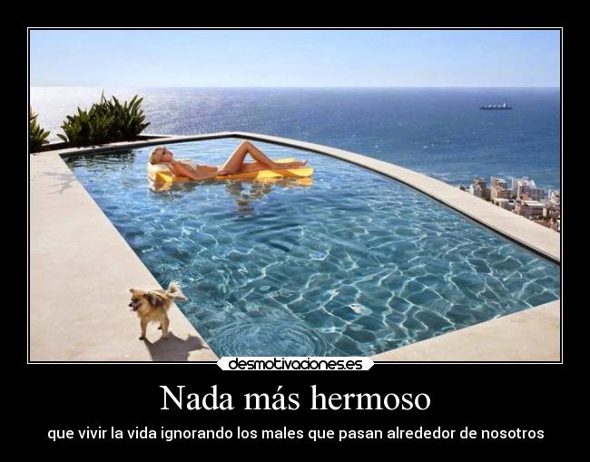 Nada más hermoso - que vivir la vida ignorando los males que pasan alrededor de nosotros