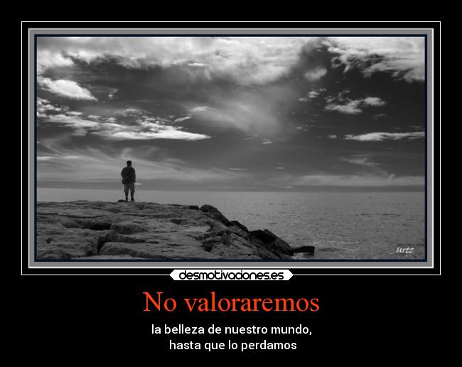 No valoraremos -