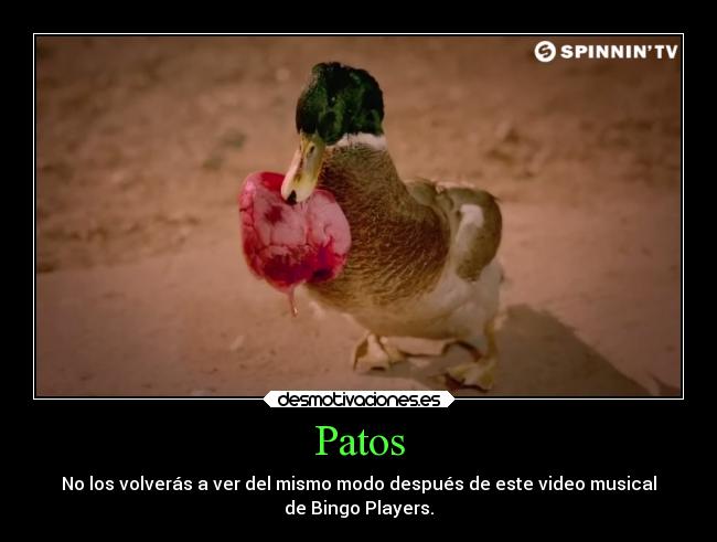 carteles musica bingo players patos get desmotivaciones