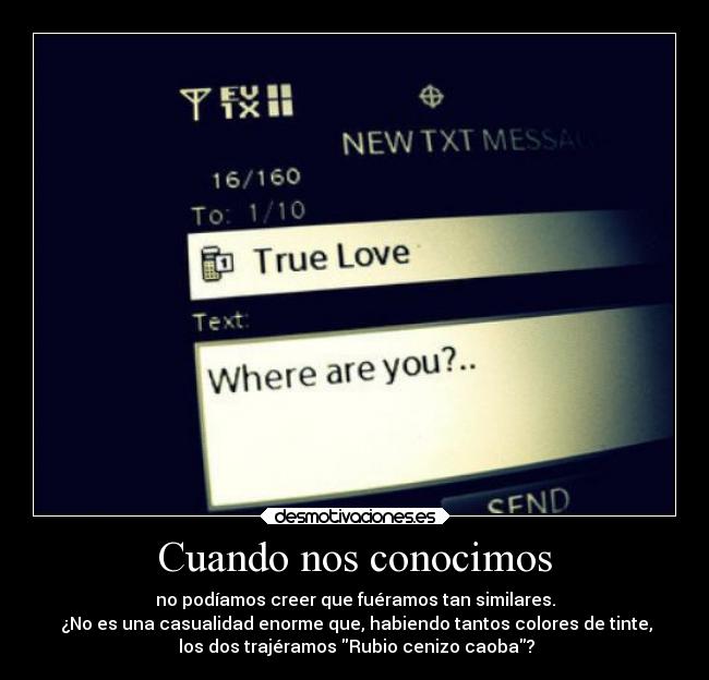 Cuando nos conocimos - no podíamos creer que fuéramos tan similares.
 ¿No es una casualidad enorme que, habiendo tantos colores de tinte,
 los dos trajéramos Rubio cenizo caoba?