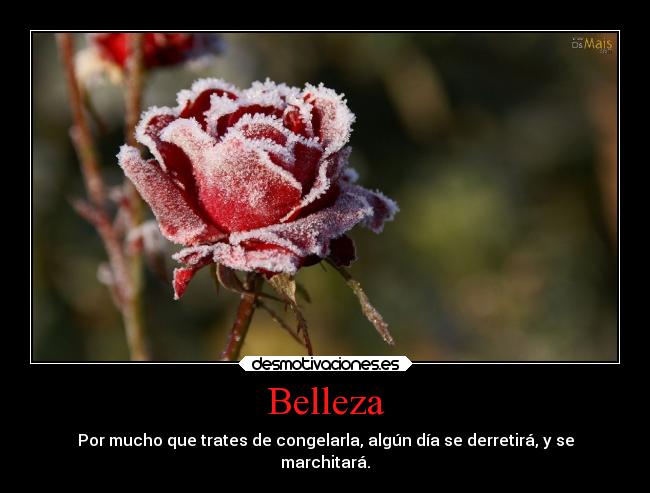 Belleza -