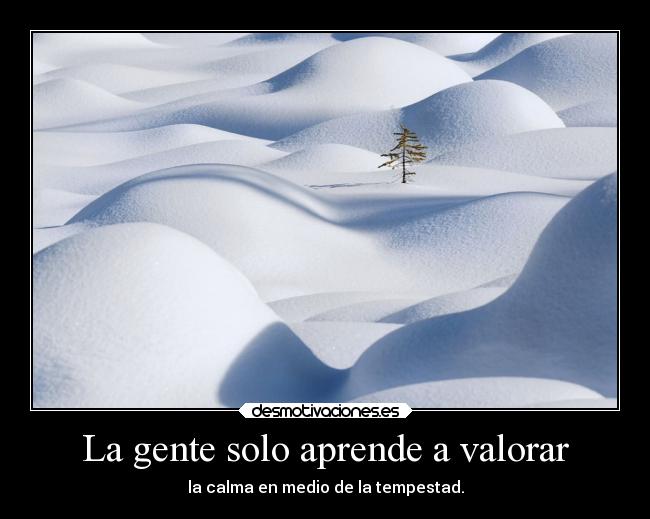 carteles naturaleza calma tempestad valorar desmotivaciones