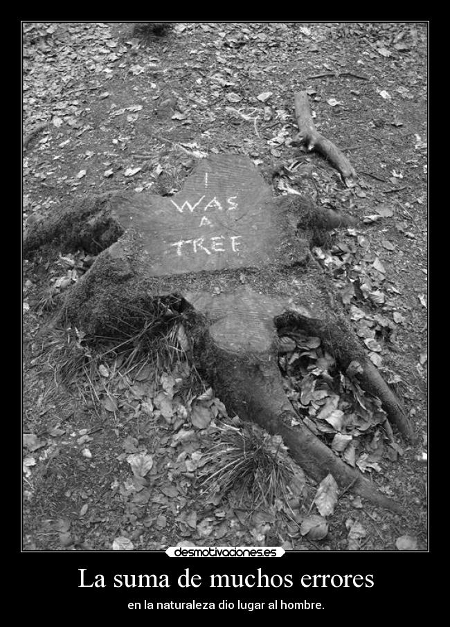 La suma de muchos errores - 