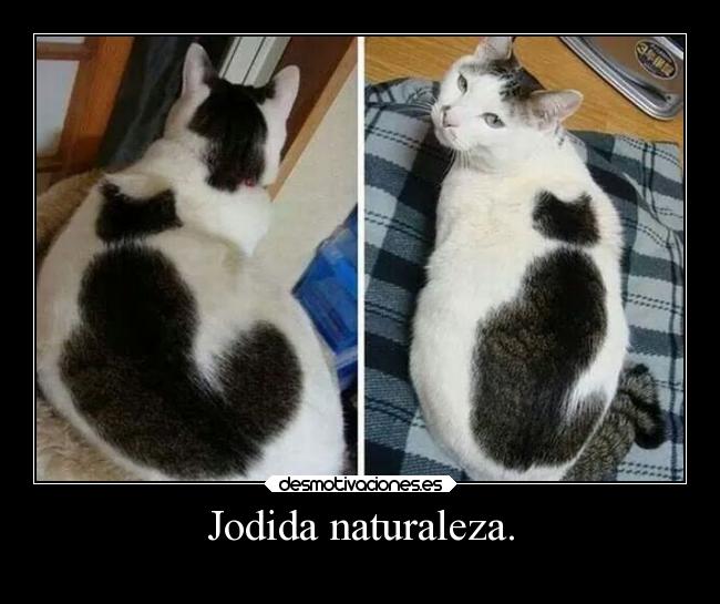 Jodida naturaleza. - 