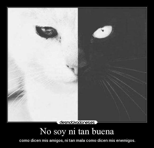 carteles odio amor amigos amistad gato blanco negro bien mal enemistad enemigos desmotivaciones