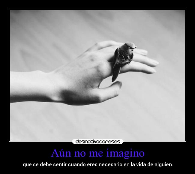 carteles odio ignorancia distancia desmotivaciones desmotivaciones