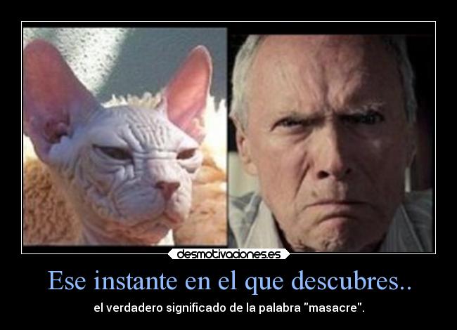 Ese instante en el que descubres.. -