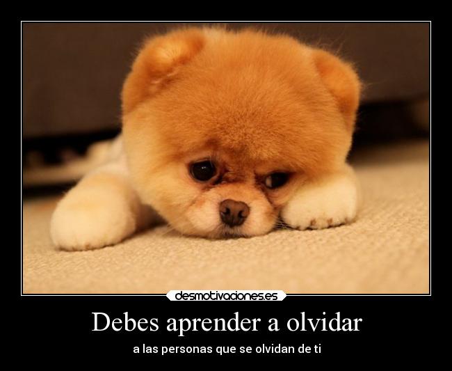 Debes aprender a olvidar - 