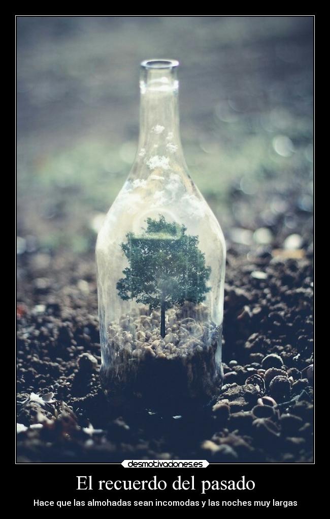 carteles pasado sentimientos olvidar recuerdos pasado desmotivaciones ausencia desmotivaciones