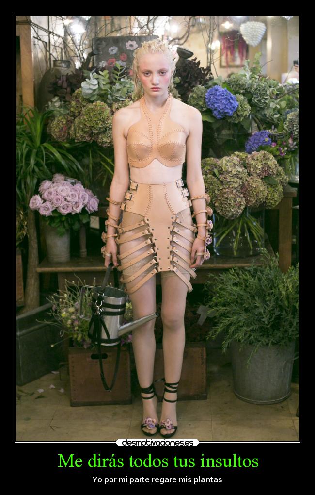 Me dirás todos tus insultos - Yo por mi parte regare mis plantas