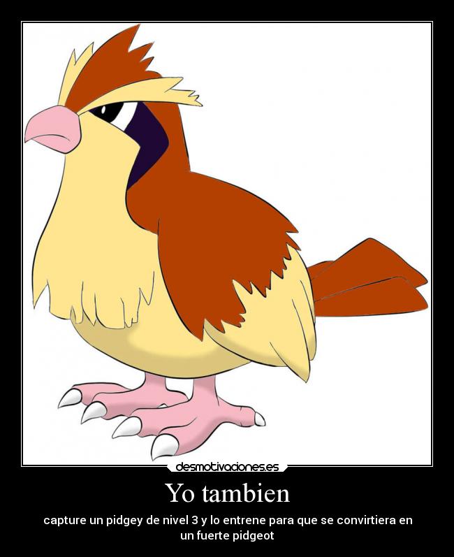 Yo tambien - capture un pidgey de nivel 3 y lo entrene para que se convirtiera en
un fuerte pidgeot