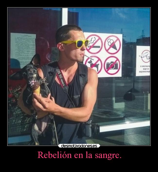 carteles problemas enfados desmotivaciones desmotivaciones