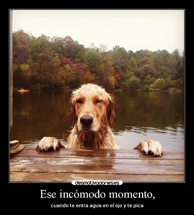 Ese incómodo momento, - cuando te entra agua en el ojo y te pica