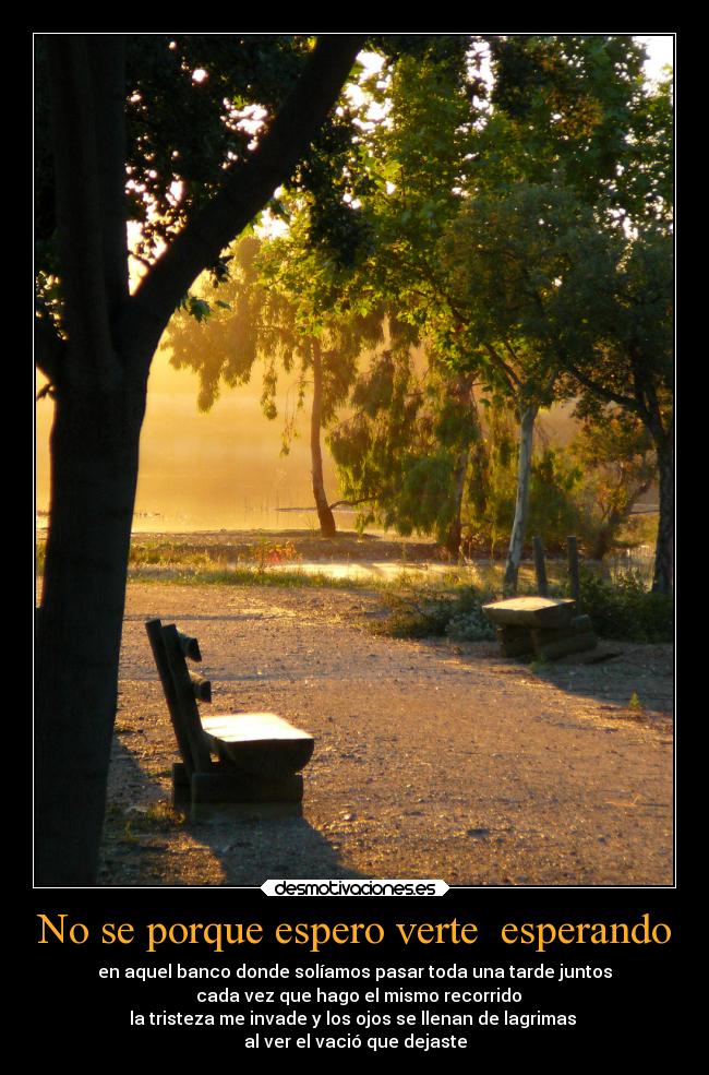 No se porque espero verte  esperando - 