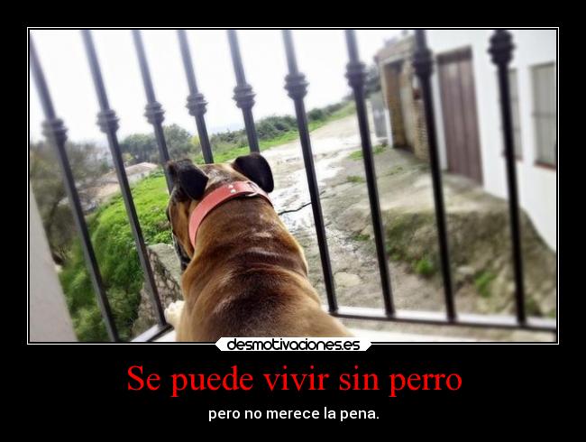 Se puede vivir sin perro - 