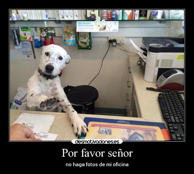 Por favor señor - no haga fotos de mi oficina