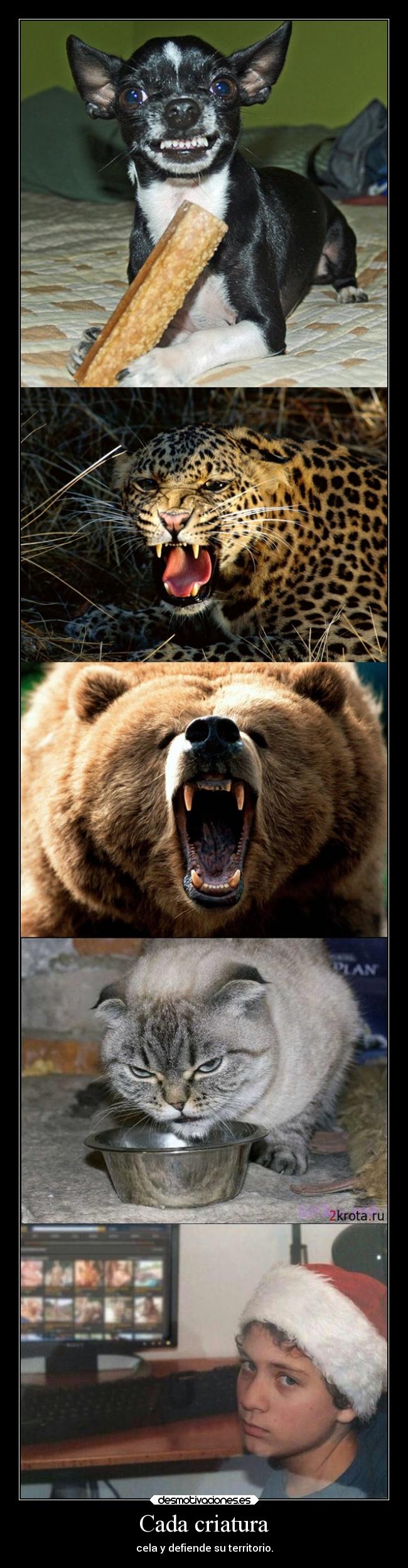 carteles risa humor desmotivaciones