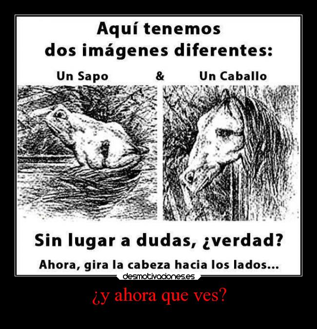 carteles risa ilusiones obticas desmotivaciones