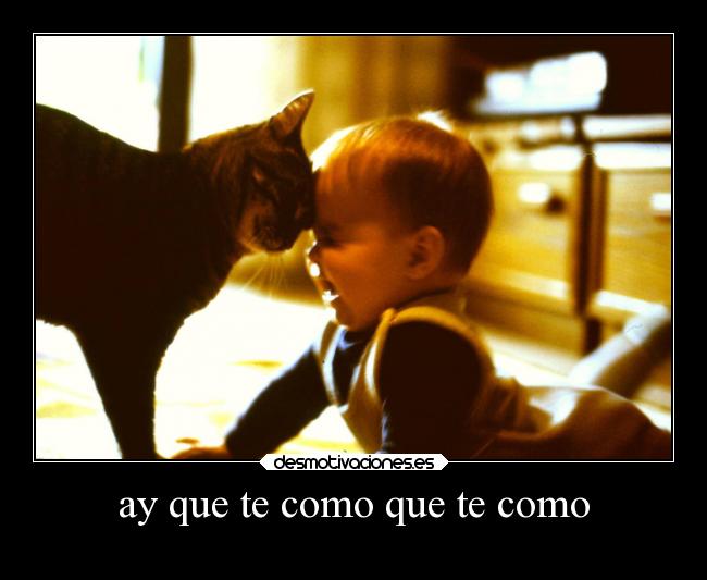 ay que te como que te como - 
