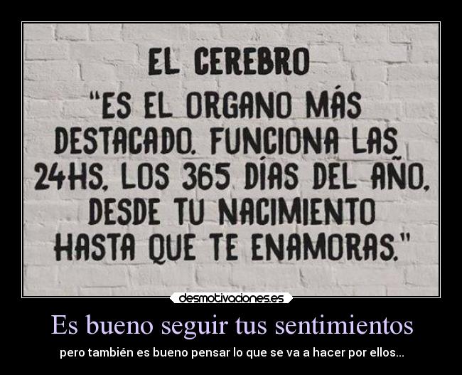 Es bueno seguir tus sentimientos - pero también es bueno pensar lo que se va a hacer por ellos...