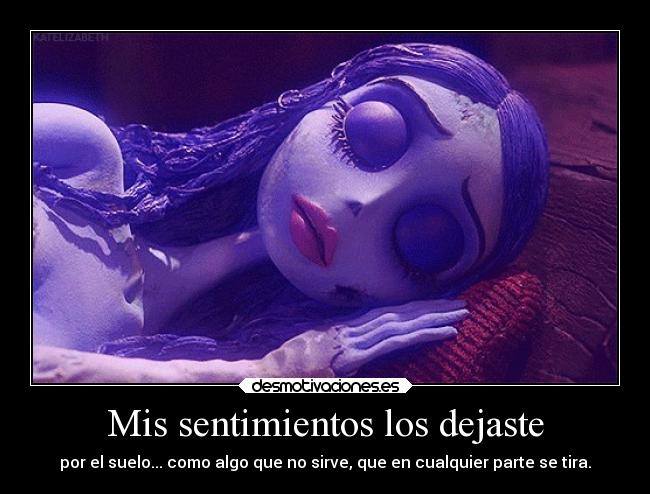 Mis sentimientos los dejaste -