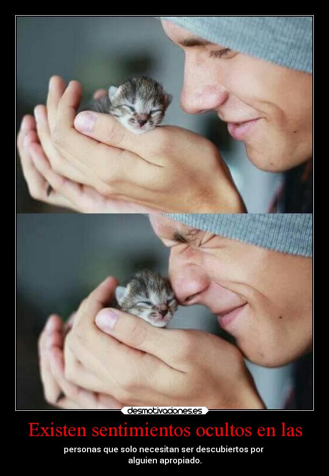 carteles sentimientos desmotivaciones desmotivaciones