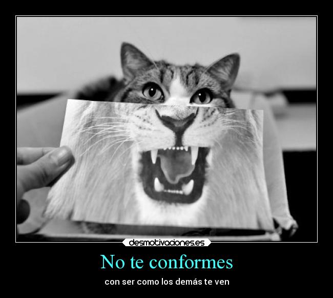 No te conformes -
