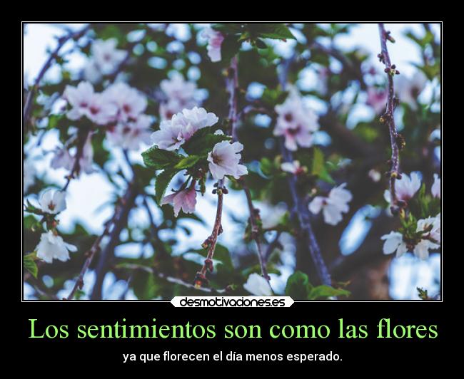 carteles sentimientos vida llllllllllllllllllll samelove sleepwalktime cutewinter desmotivaciones