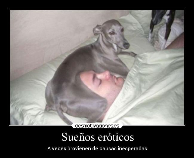 Sueños eróticos - A veces provienen de causas inesperadas