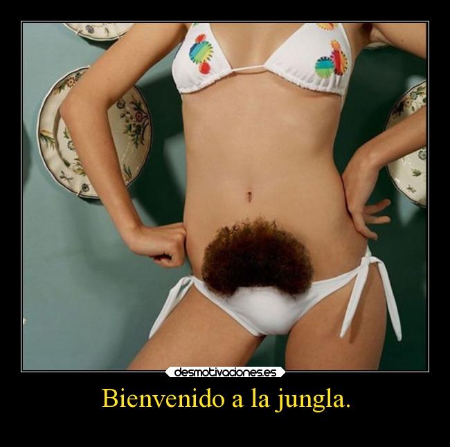 Bienvenido a la jungla. -