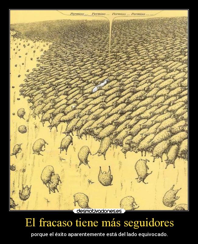 El fracaso tiene más seguidores - porque el éxito aparentemente está del lado equivocado.