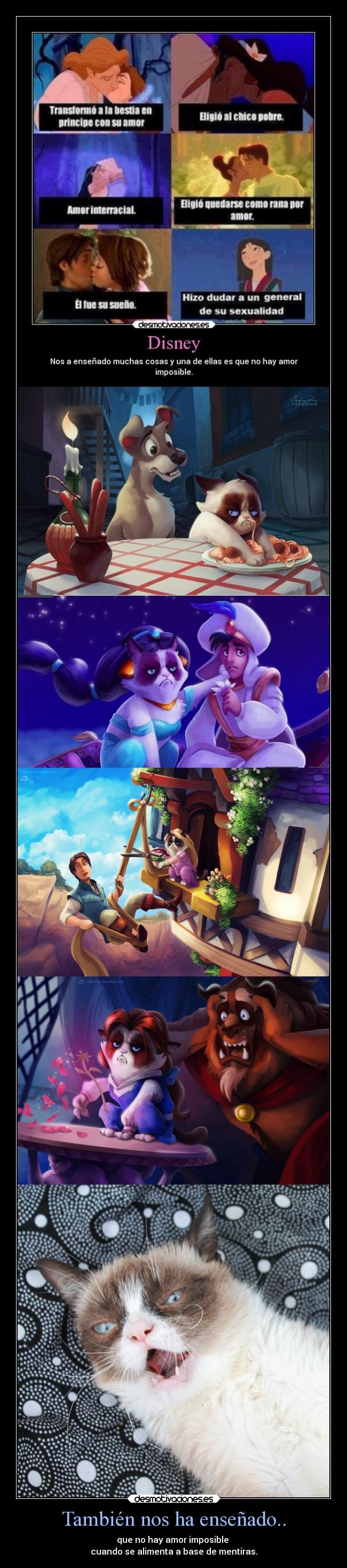 También nos ha enseñado.. -