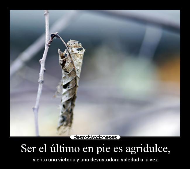 Ser el último en pie es agridulce, - 