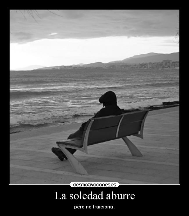 La soledad aburre - 