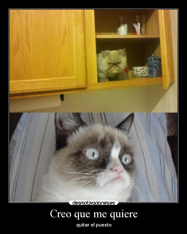 Creo que me quiere - 