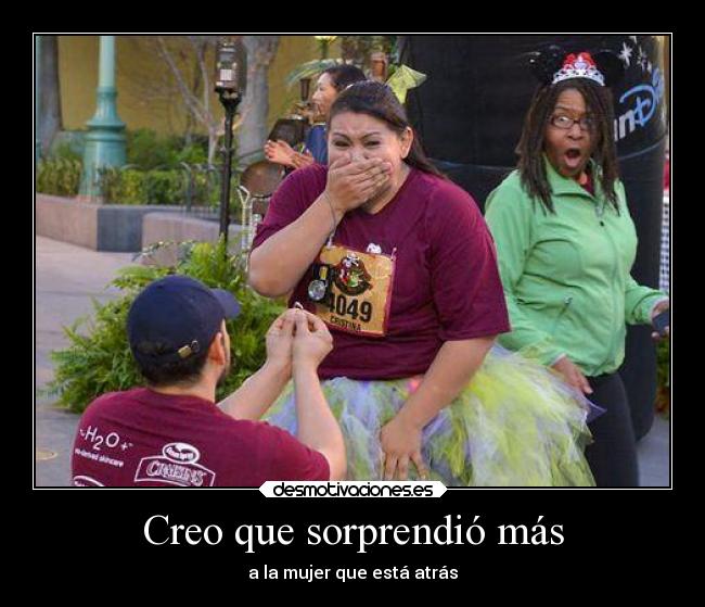 carteles tonto sorpresa desmotivado15 desmotivaciones