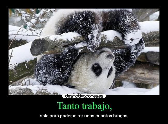Tanto trabajo, -