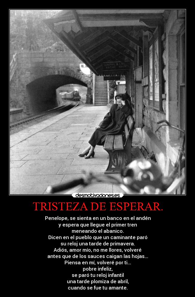 carteles tristeza amor desmotivaciones