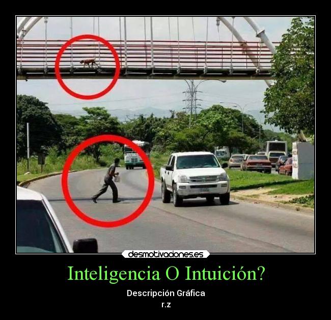 Inteligencia O Intuición? - Descripción Gráfica
r.z