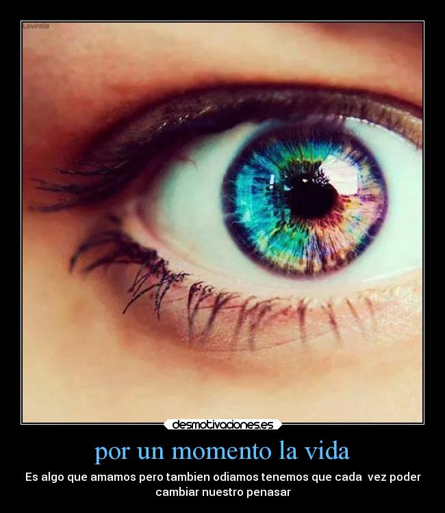 por un momento la vida -
