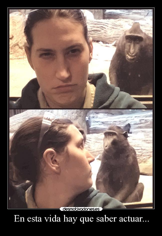 En esta vida hay que saber actuar... -