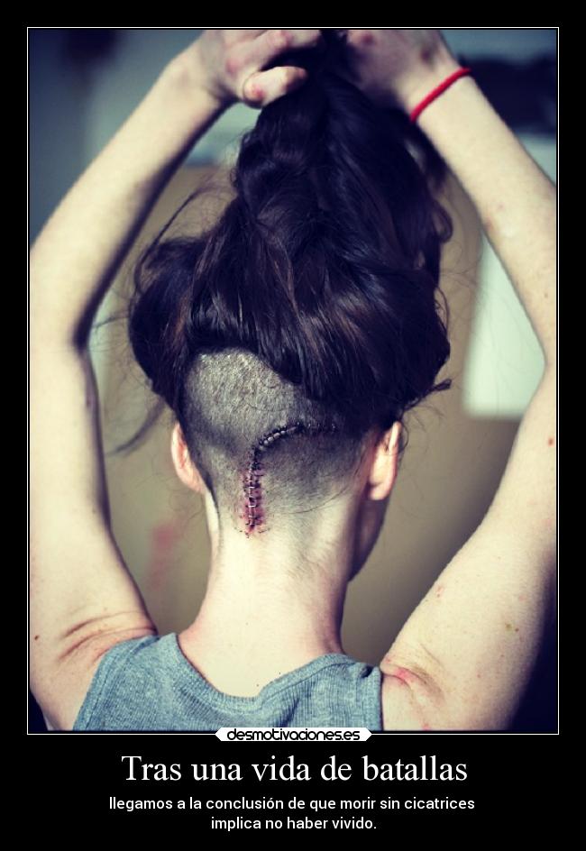 carteles vida alma dolor vida guerra desmotivaciones