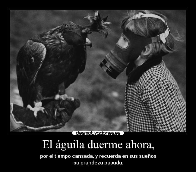 El águila duerme ahora, -